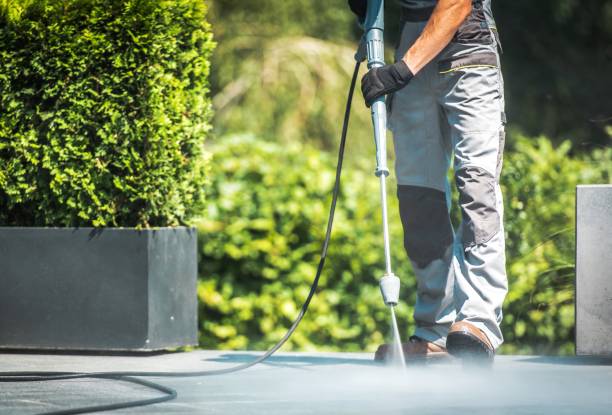 Best Solar Panel Cleaning  in Oasis, CA
